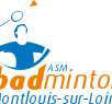 Asm Association Sportive Badminton De Montlouis